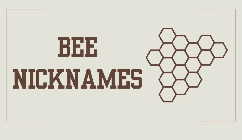 bee nicknames