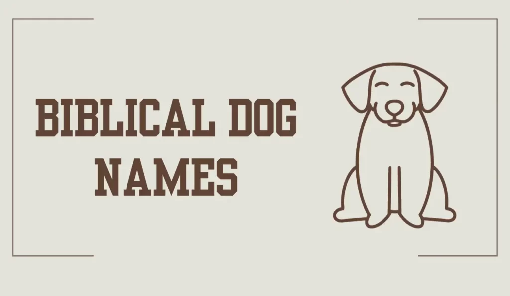 biblical dog names
