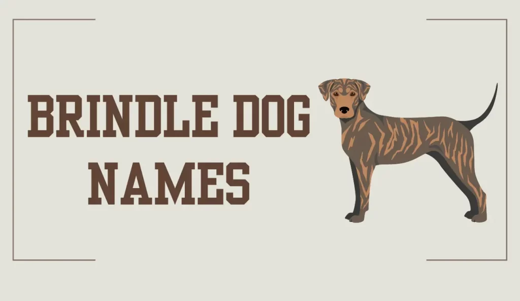 brindle dog names
