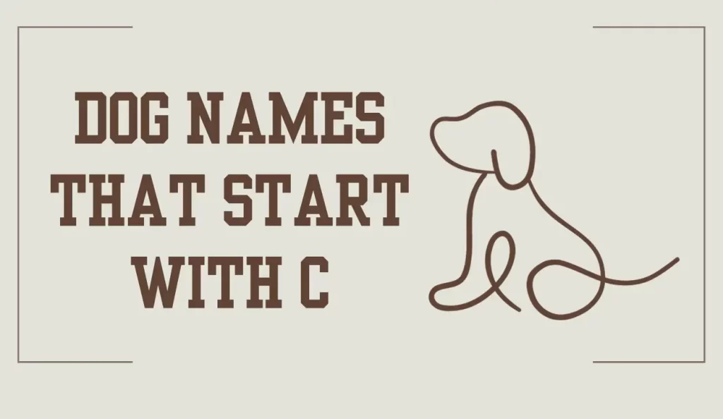 dog names that start with c