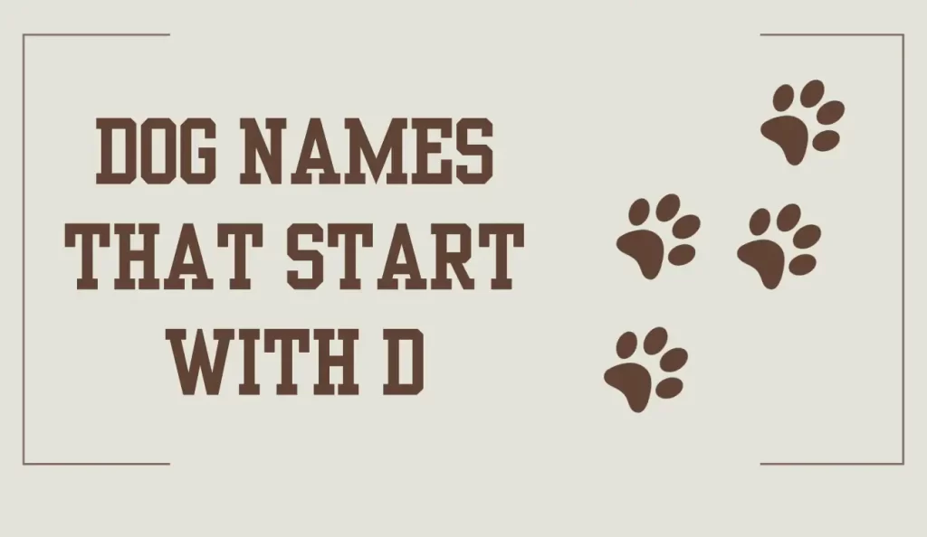 dog names that start with d