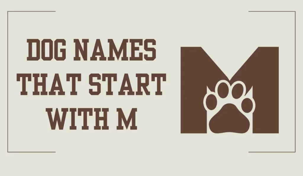 dog names that start with m