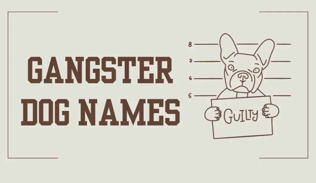gangster dog names