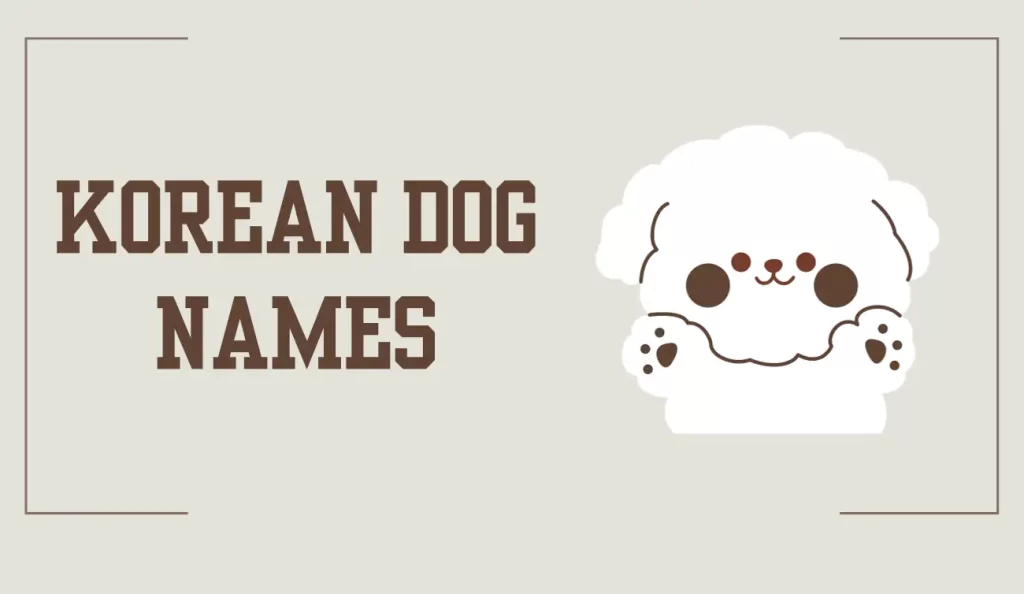 korean dog names