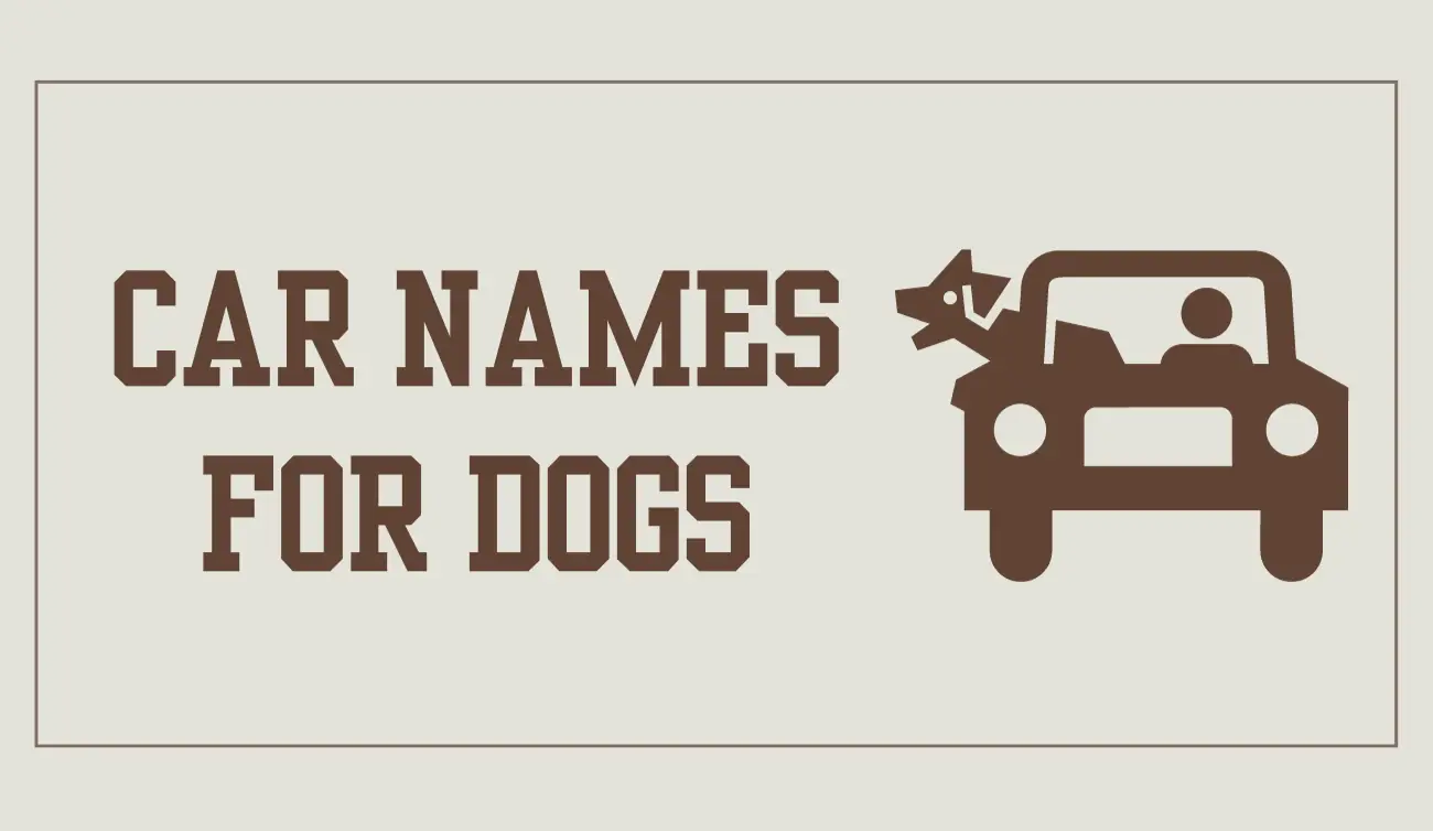 350-car-names-for-dogs-the-perfect-moniker-for-your-pooch-let-s-name