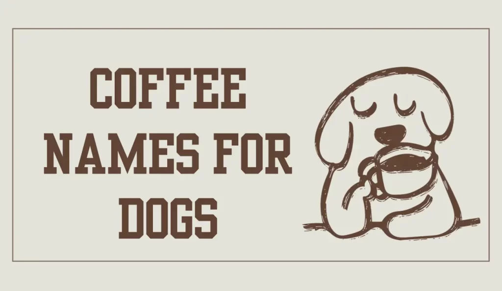 coffee names for dogs