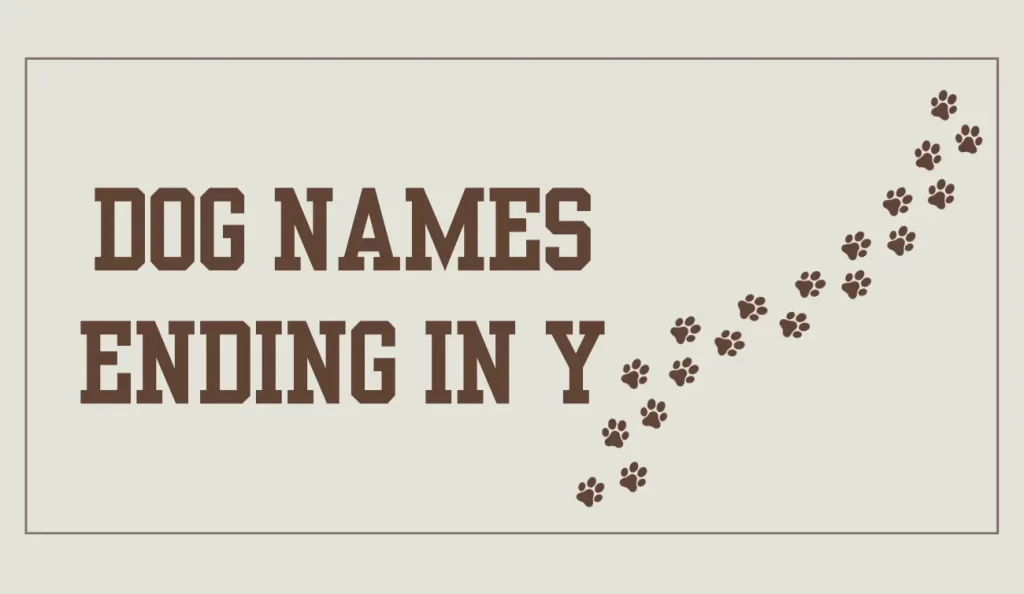 dog names ending in y
