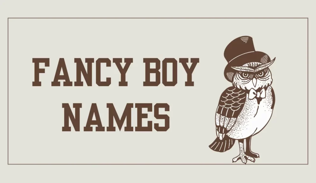 fancy boy names
