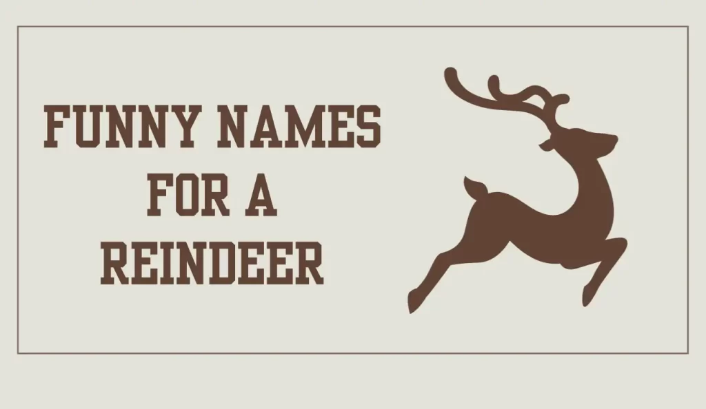 funny names for a reindeer