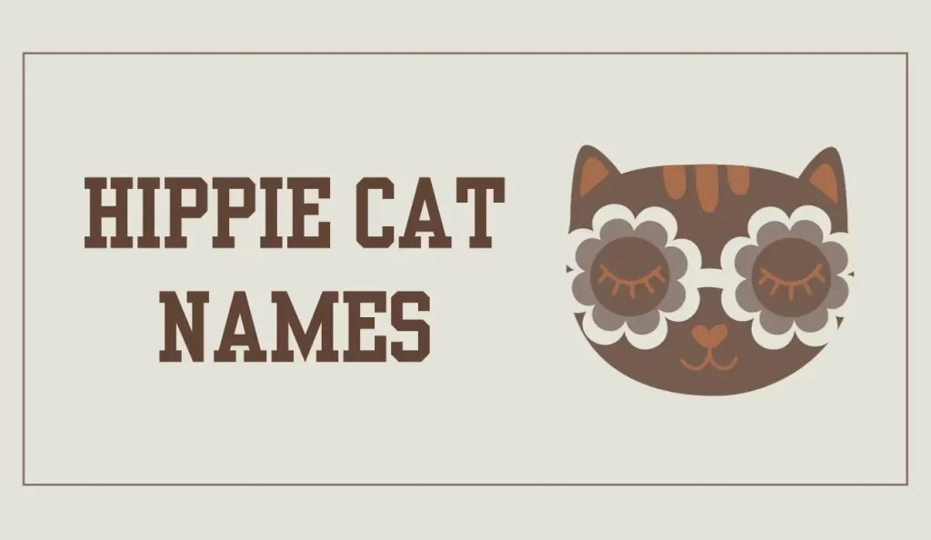 hippie cat names