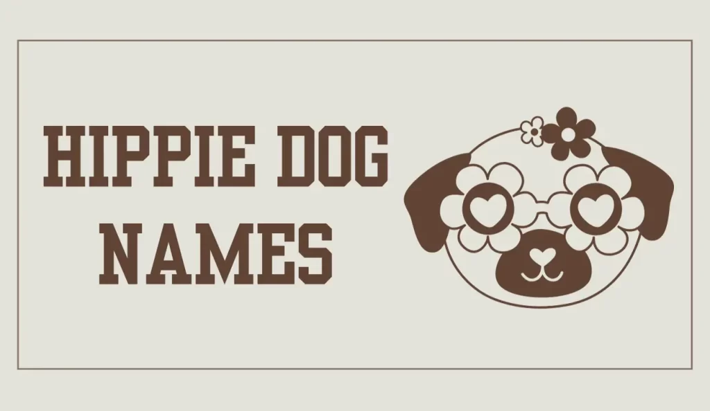 hippie dog names