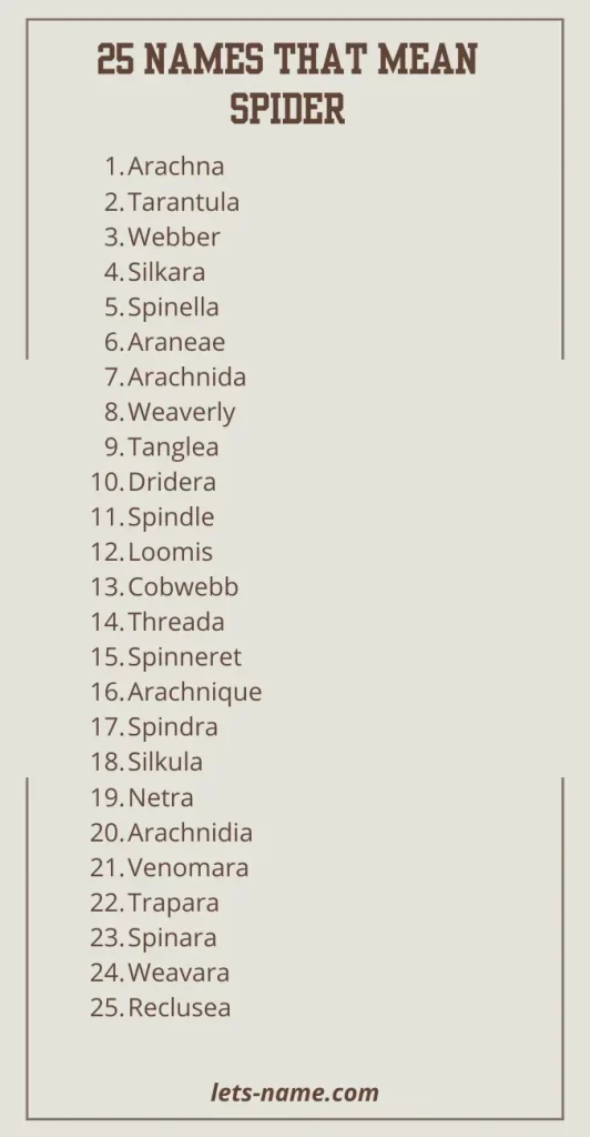 names that mean spider