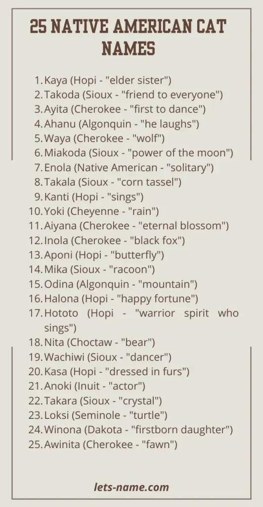native american cat names