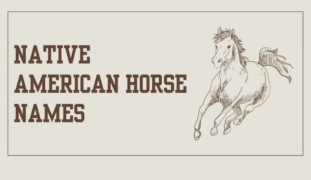 native american horse names
