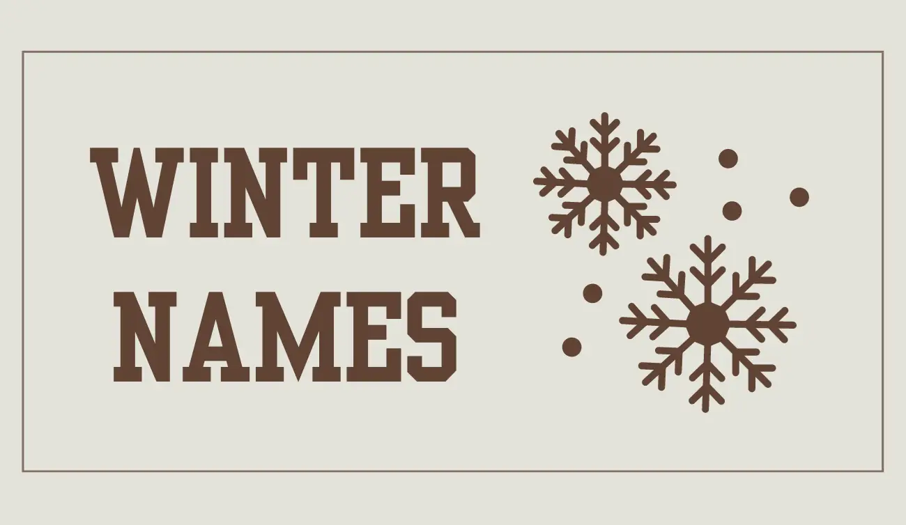 550+ Winter Names [A Guide to Enchanting Winter Names] - Let's Name!