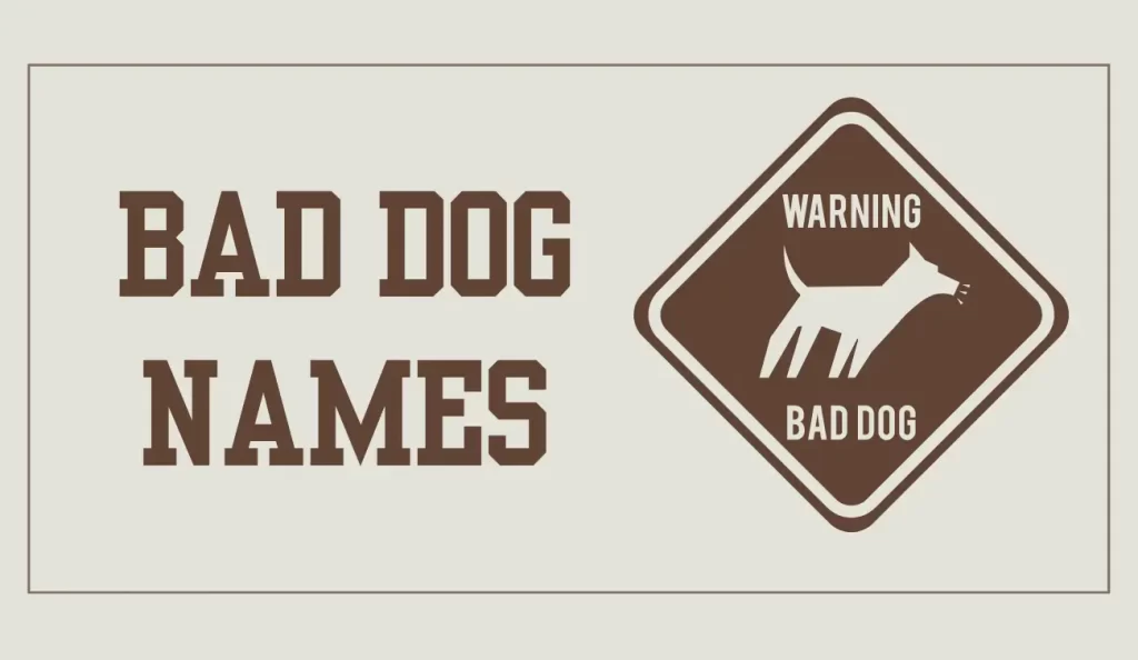 bad dog names