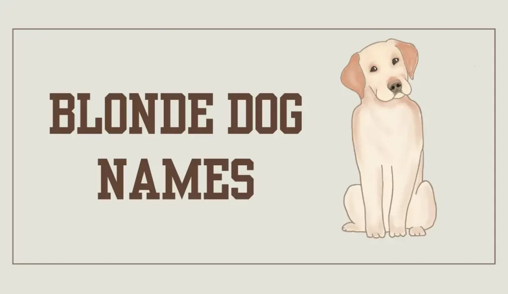 blonde dog names