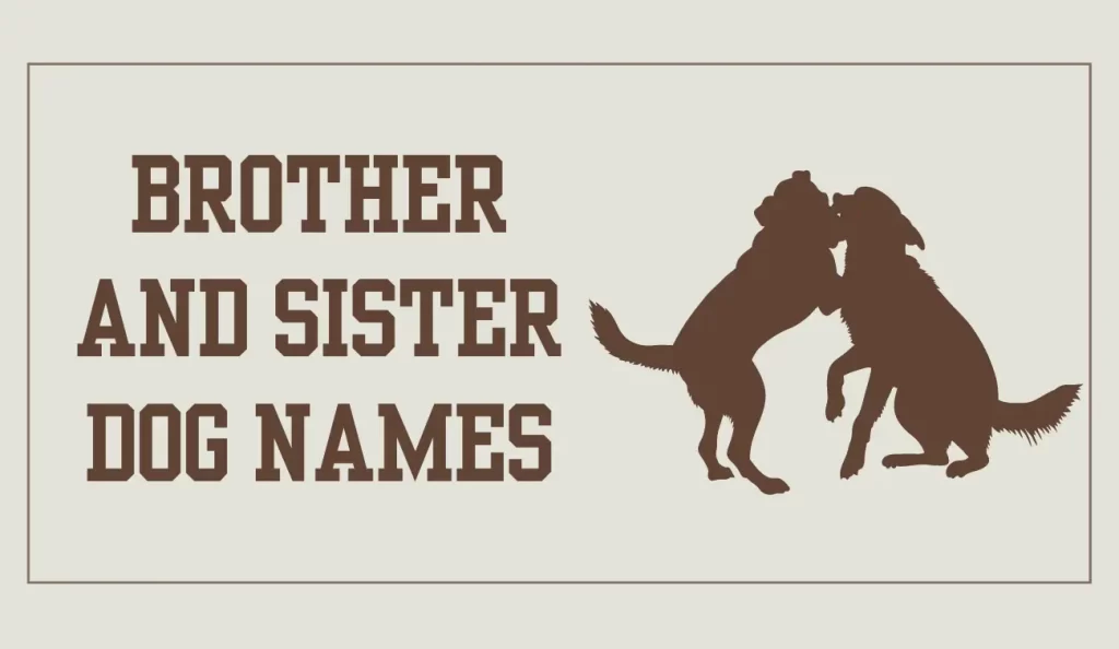 brother and sister dog names