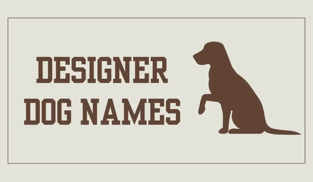 designer dog names