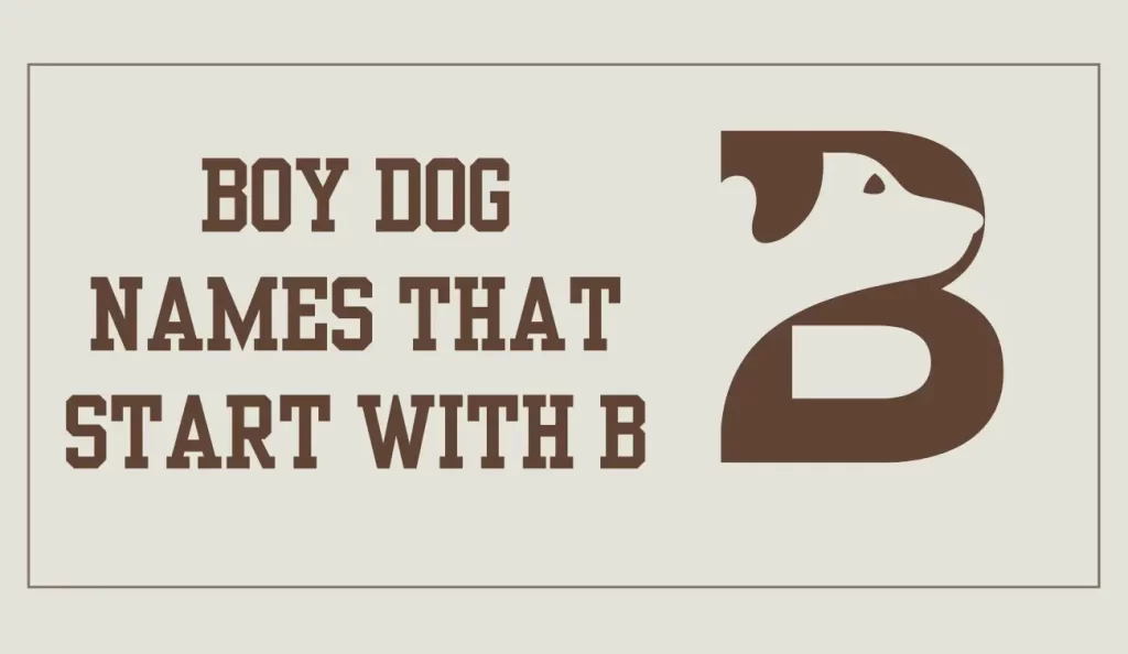 boy dog names that start with b
