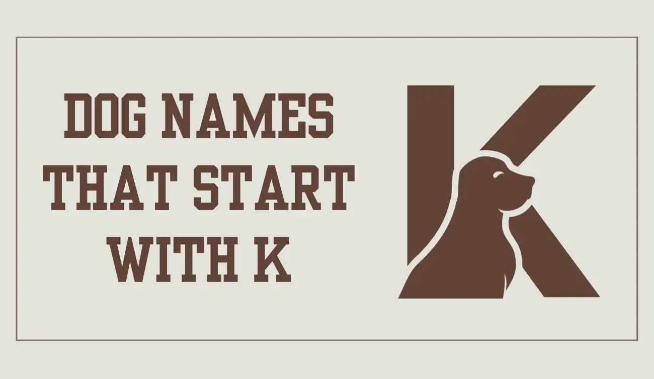 200-dog-names-that-start-with-k-unleashing-uniqueness-let-s-name