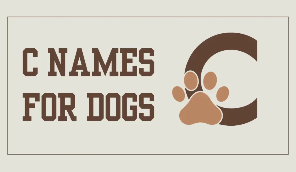 c names for dogs
