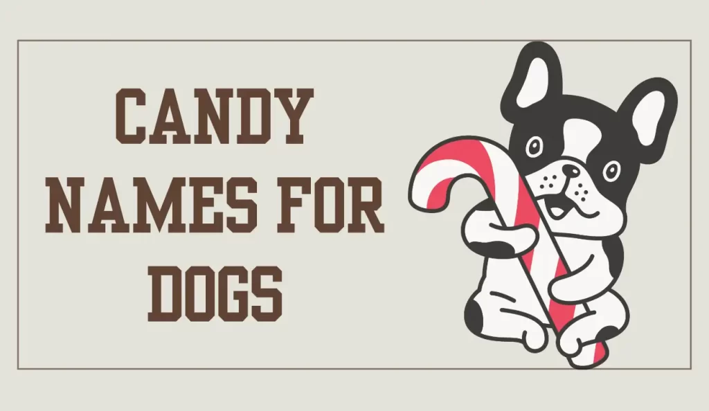 candy names for dogs