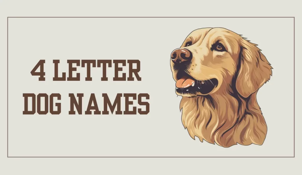 4 letter dog names