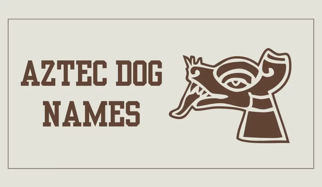 aztec dog names