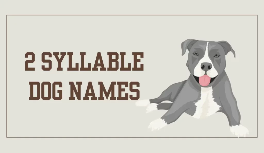 two syllable dog names